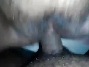 हॉट ट्रांसस्टाइट फ्ल ...