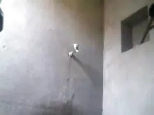संचिका भारतीय बेब सह ...