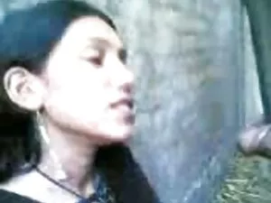 छेदा ताशा उसे बिल्ली ...