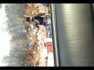 बैंगब्रोस-ब्लासियन फ ...