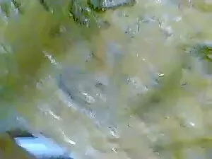 भव्य शौकिया dildo से ...