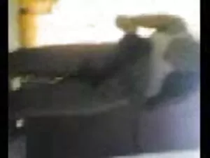 Алексис Эндрюс, что  ...