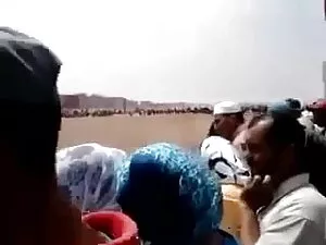 बड़ा मुर्गा के लिए स ...
