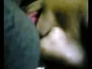 leitero प्रतिभाशाली  ...