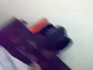 दो समलैंगिक बिल्ली स ...