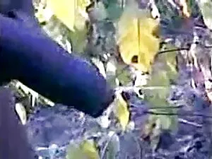 चारा बस - लेबनान से  ...