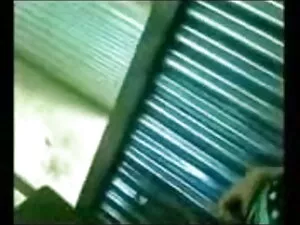 सींग का बना हुआ एक्स ...