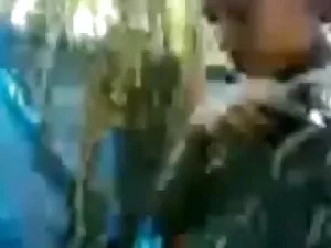 लीसा उसे मोटा बिल्ली ...