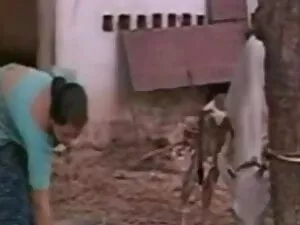 हॉट स्टार डिस्क सेक् ...